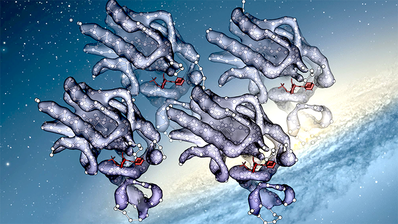 Surfing with the Alien snakes